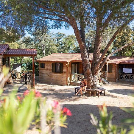 Feriendorf La Mora Calvi  Dış mekan fotoğraf