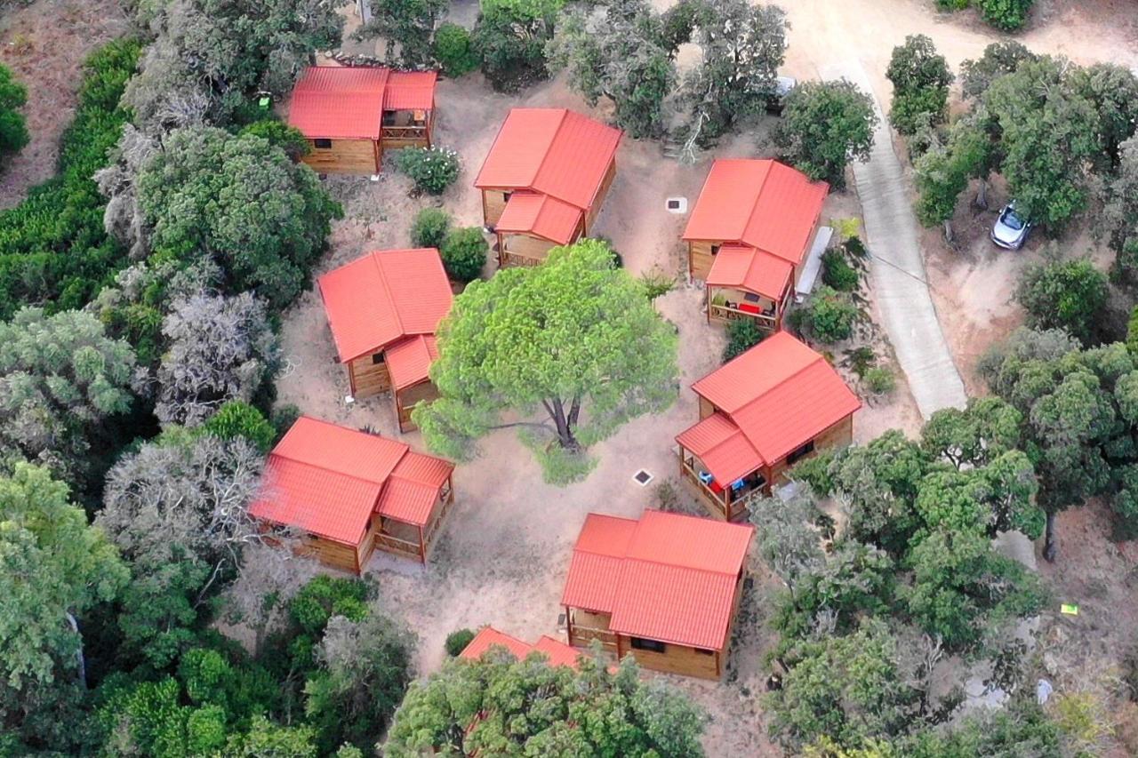 Feriendorf La Mora Calvi  Dış mekan fotoğraf