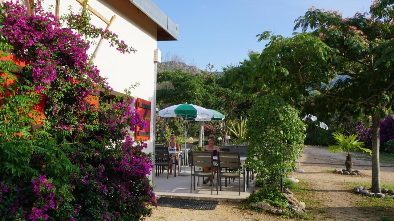 Feriendorf La Mora Calvi  Dış mekan fotoğraf