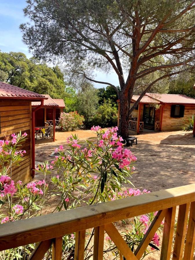 Feriendorf La Mora Calvi  Dış mekan fotoğraf