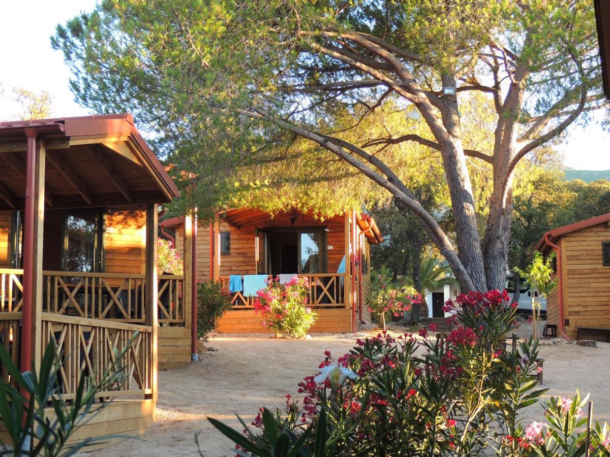 Feriendorf La Mora Calvi  Dış mekan fotoğraf