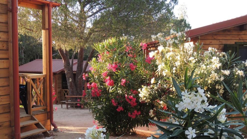 Feriendorf La Mora Calvi  Dış mekan fotoğraf